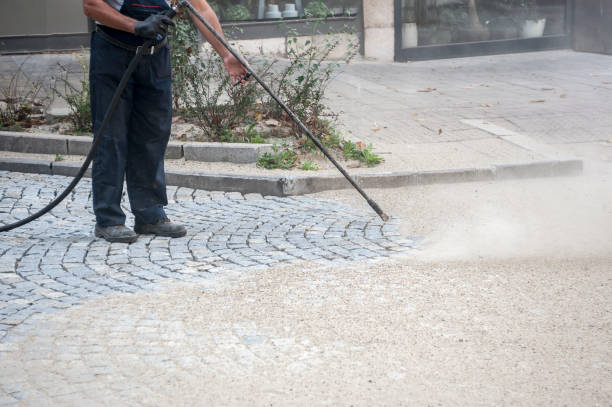 Best Animal Enclosure Cleaning  in New Cumberland, WV